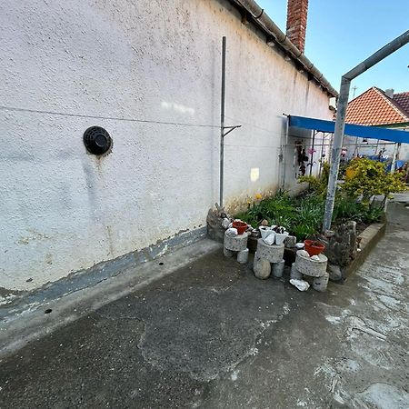 Casa Lenu & Lian Sighişoara Exterior foto